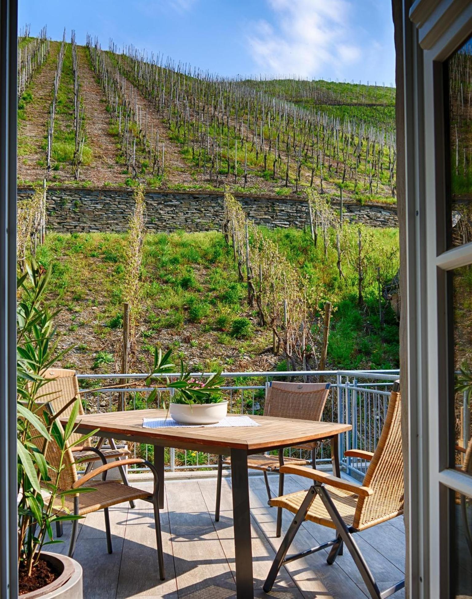 Altes Loerscher Winzerhaus 메링 외부 사진