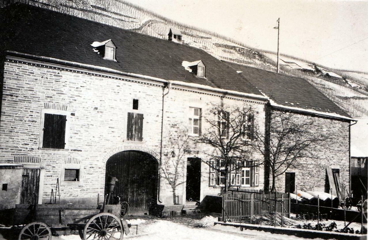 Altes Loerscher Winzerhaus 메링 외부 사진